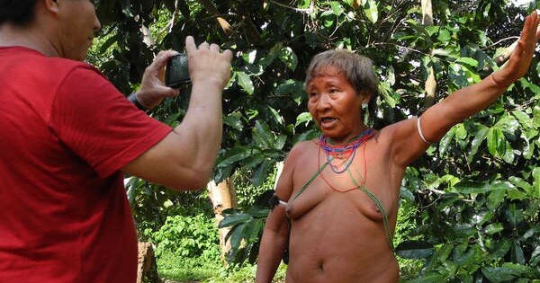 Voix Indigènes (Crédit : Survival International)