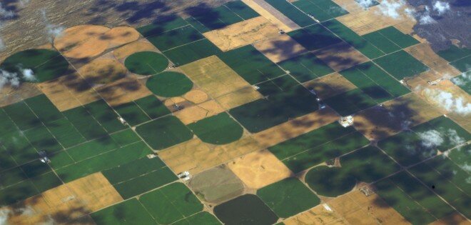 Agrobusiness
